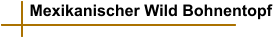Mexikanischer Wild Bohnentopf